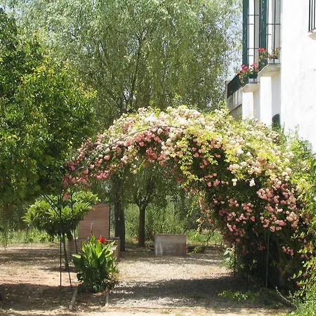 Country house Cortijo El Pinar *
