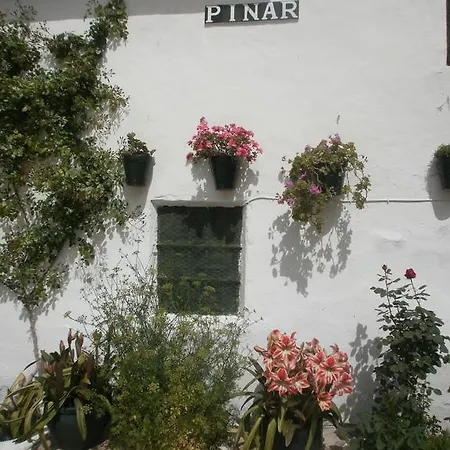 Cortijo El Pinar Country house