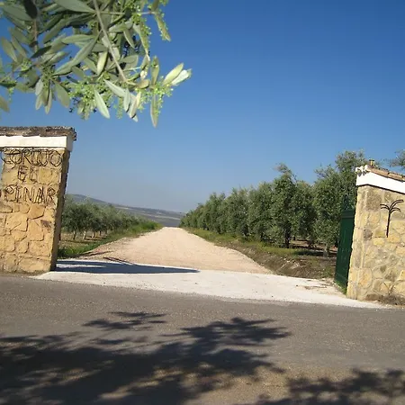 Cortijo El Pinar Country house Montilla