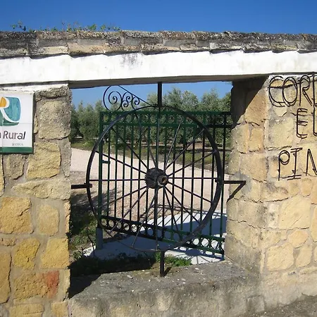 Country house Cortijo El Pinar *