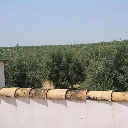 Cortijo El Pinar Country house *